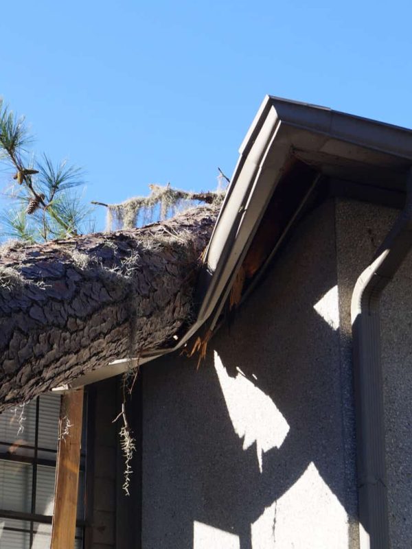 Roof,Damage,From,Tree,That,Fell,Over,During,Hurricane,Storm