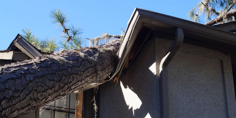 Roof,Damage,From,Tree,That,Fell,Over,During,Hurricane,Storm